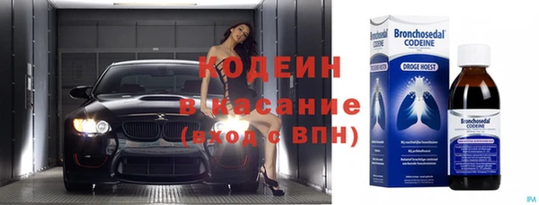 гашик Осташков