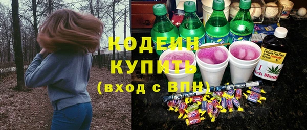 гашик Осташков