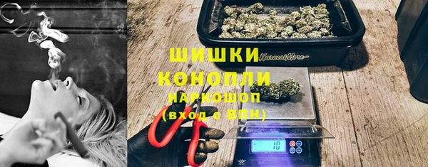 гашик Осташков