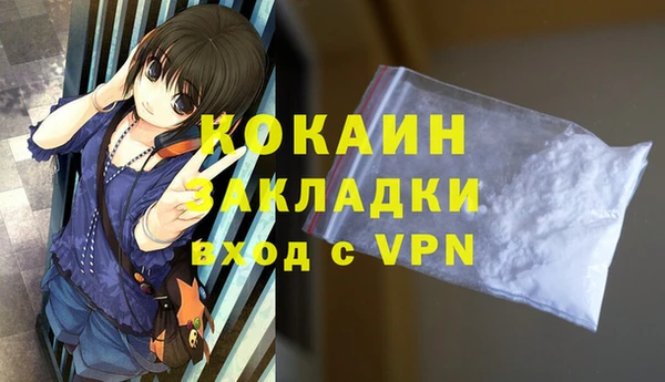 гашик Осташков