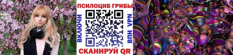 Псилоцибиновые грибы Cubensis  Инза 